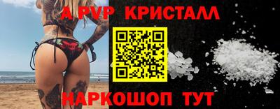 спиды Кандалакша