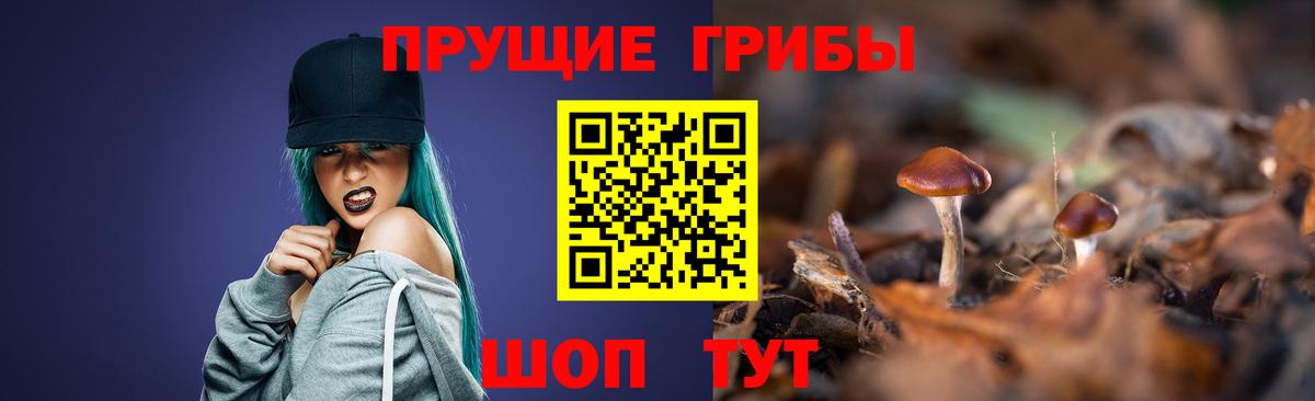 Галлюциногенные грибы Magic Shrooms  Псилоцибиновые грибы ЛСД  Видное  Вход с VPN 